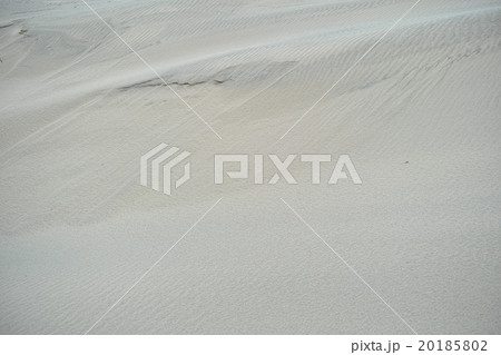 砂丘 砂丘 20185802