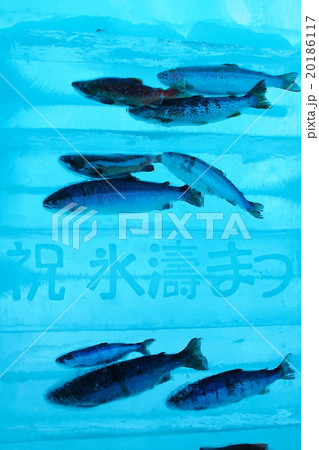 支笏湖 氷濤まつり 支笏湖 氷濤まつり 20186117