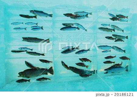 支笏湖 氷濤まつり 支笏湖 氷濤まつり 20186121