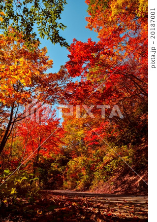 紅葉狩りツーリング (18) 紅葉狩りツーリング (18) 20187001