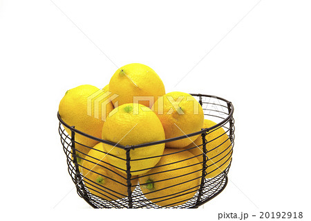 くだもの レモン くだもの レモン 20192918