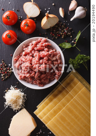 ingredients for cooking Italian lasagna close-up ingredients for cooking Italian lasagna close-up 20194490