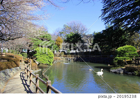 馬事公苑の日本庭園 20195238