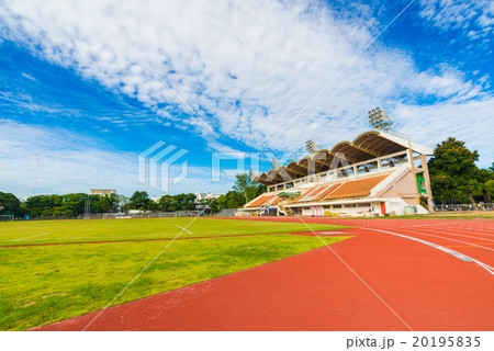 Football field with green grass at sunny day 20195835