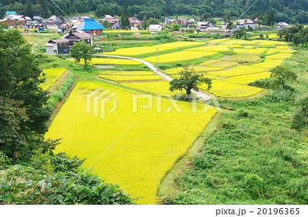 長野県栄村月岡の田園風景 長野県栄村月岡の田園風景 20196365