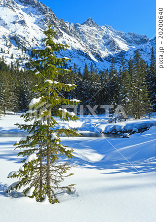 Winter mountain stream. 20200640