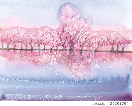 桜　背景素材 20201764