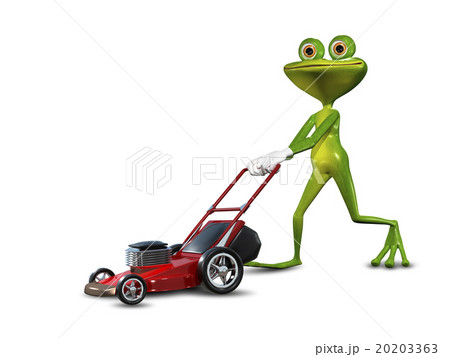 Frog with a lawn mower 20203363