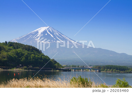 Mount Fuji from lake Fujikawaguchiko, Japan. 20203460