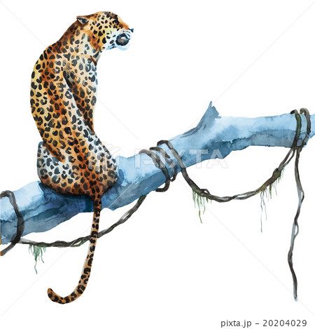 Watercolor vector leopard 20204029