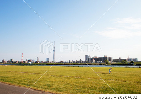 荒川土手 20204682