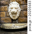ancient sink 20205683