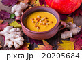 pumpkin soup cream 20205684