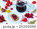 jam from a guelder-rose 20205690