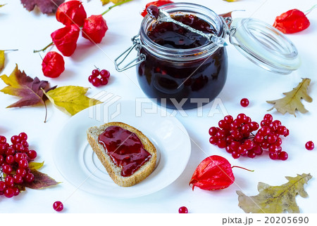 jam from a guelder-rose jam from a guelder-rose 20205690