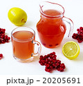 hot drink with a guelder-rose and a lemon 20205691