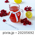 drink with a guelder-rose and a lemon 20205692
