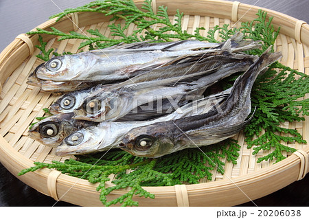飛魚　干物　出汁 20206038