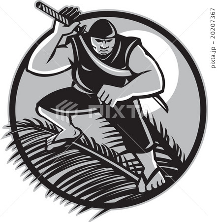Samoan Ninja on top of Coconut Front Circle 20207367