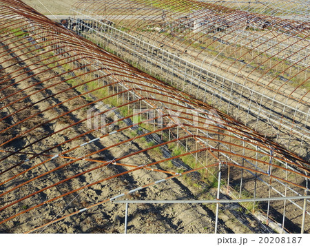 ビニールハウス 20208187