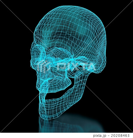 3D Skull Mesh 20208463