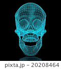 3D Skull Mesh 20208464
