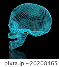 3D Skull Mesh 20208465