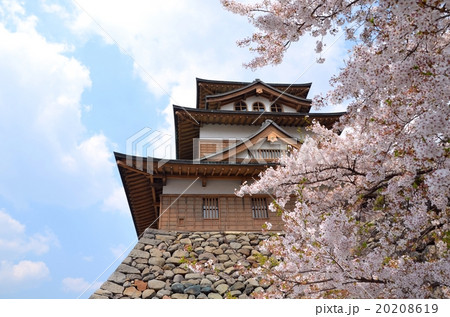 満開の桜と高島城 20208619