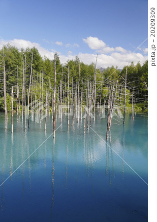 青い池 青い池 20209309