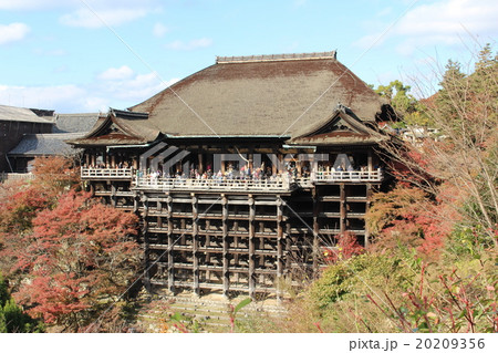 清水寺 清水寺 20209356