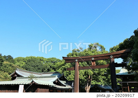 明治神宮　鳥居 20209917