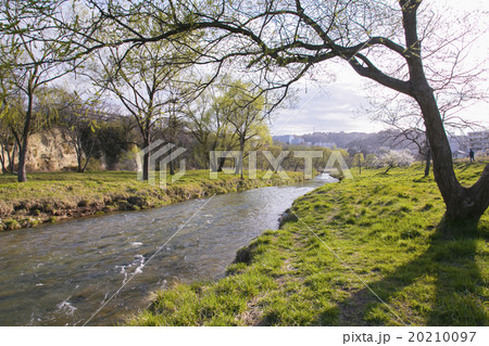 広瀬川009 広瀬川009 20210097