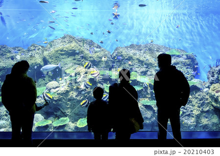 水族館の巨大水槽 20210403