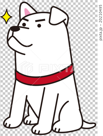 待っています犬 20210495