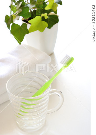 歯ブラシとタオルと観葉植物 20211432