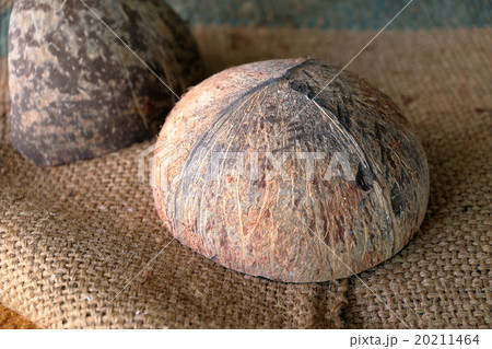 coconut Shell coconut Shell 20211464