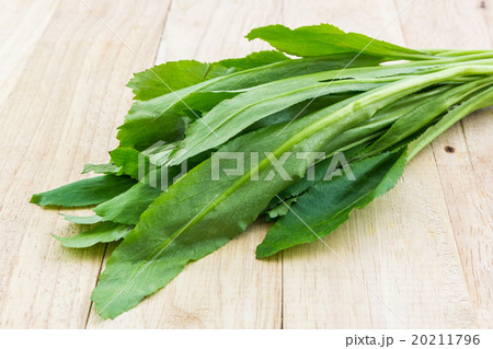 Culantro or Parsley. 20211796