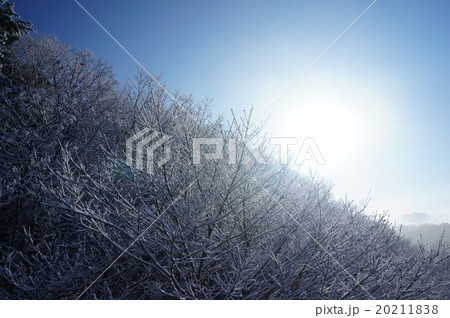 雪山 雪山 20211838