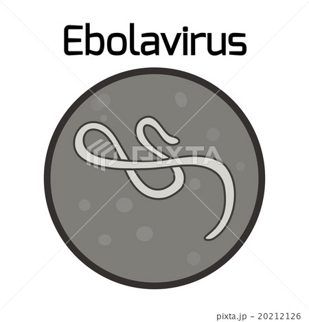 Ebola virus 20212126