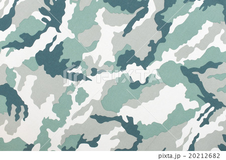 Camouflage pattern and background. 20212682
