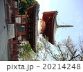 「川越大師　喜多院」多宝塔 20214248