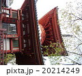 「川越大師　喜多院」多宝塔 20214249