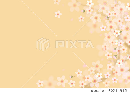 桜柄 20214916