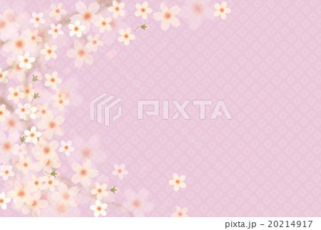 桜柄 20214917