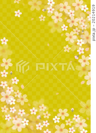 桜柄 20214919
