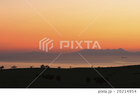 網走市営美岬牧場の朝焼け 網走市営美岬牧場の朝焼け 20214954