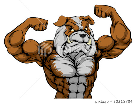 Bulldog Mascot Bulldog Mascot 20215704