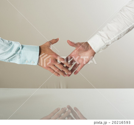 business handshake 20216593