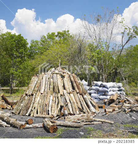 charcoal pile, Pinar del Rio Province, Cuba charcoal pile, Pinar del Rio Province, Cuba 20218385