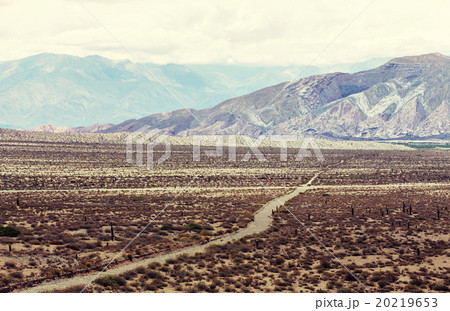 Northern Argentina 20219653